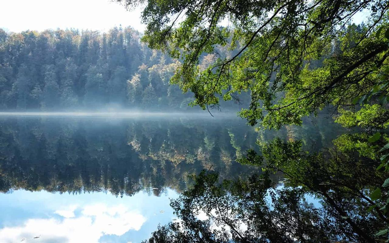 Ferienwohnung In Der Vulkaneifel "Opp Der Holl" Brockscheid المظهر الخارجي الصورة