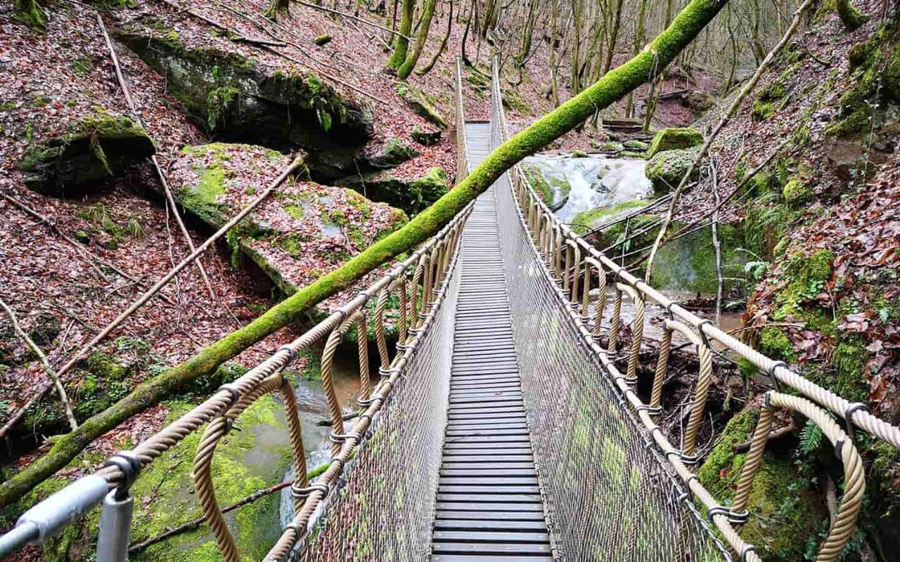 Ferienwohnung In Der Vulkaneifel "Opp Der Holl" Brockscheid المظهر الخارجي الصورة